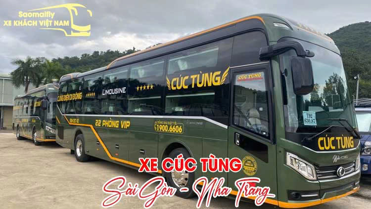 Cúc Tùng