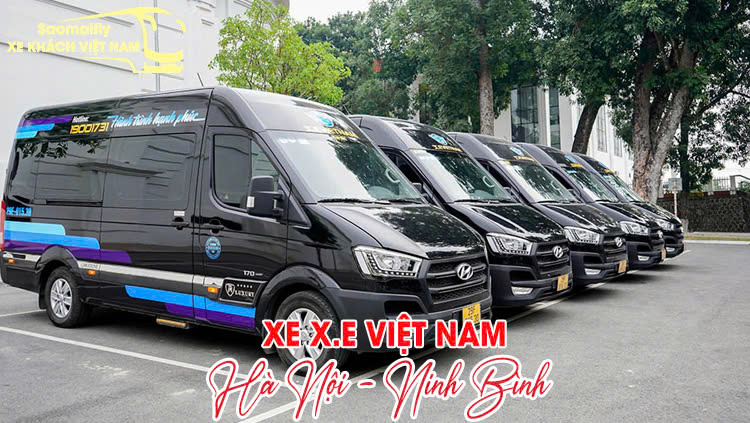 X.E Việt Nam